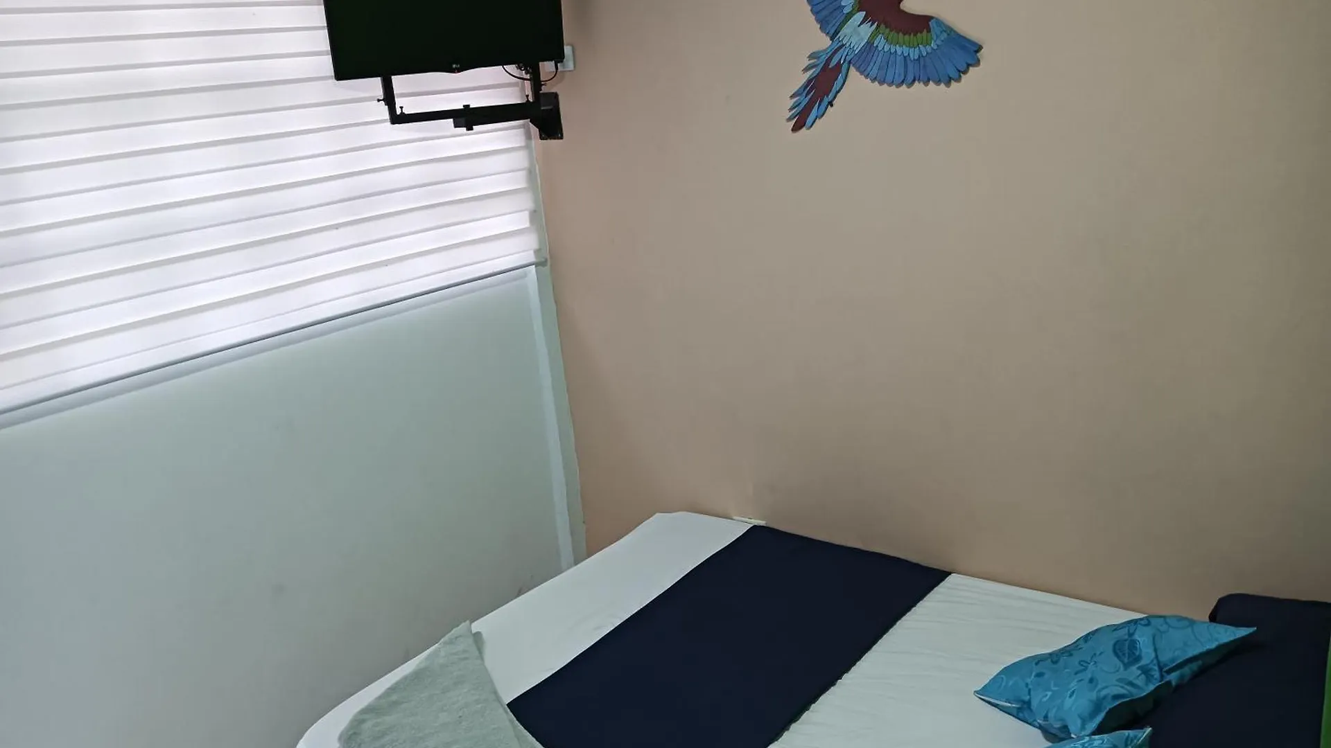 Rocky Palms Apartment San Andres